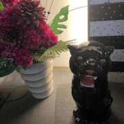 ヒメ日記 2026/03/11 15:18 投稿 友（とも）☆☆☆ Miss&Mrs(ミス＆ミセス)