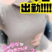 ヒメ日記 2026/01/21 14:02 投稿 あかね 渋谷ちゃんこ