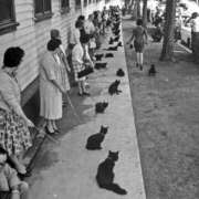 ヒメ日記 2026/02/02 23:16 投稿 しう 変態なんでも鑑定団