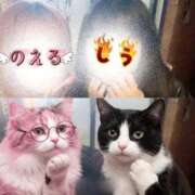 ヒメ日記 2026/02/09 20:17 投稿 しう 変態なんでも鑑定団