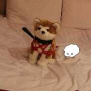 ヒメ日記 2026/02/20 18:26 投稿 しう 変態なんでも鑑定団