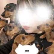 しう 宿題、花丸。 変態なんでも鑑定団