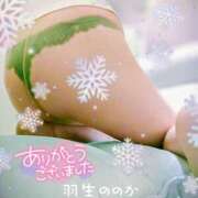 ヒメ日記 2026/02/08 21:36 投稿 羽生ののか 五十路マダムエクスプレス船橋店(カサブランカグループ)