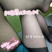 ヒメ日記 2026/03/14 11:00 投稿 羽生ののか 五十路マダムエクスプレス船橋店(カサブランカグループ)