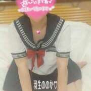 ヒメ日記 2026/03/22 11:00 投稿 羽生ののか 五十路マダムエクスプレス船橋店(カサブランカグループ)