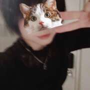 ヒメ日記 2026/03/02 16:55 投稿 いちか 五反田アンジェリーク