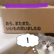 ヒメ日記 2026/03/20 18:46 投稿 いちか 五反田アンジェリーク