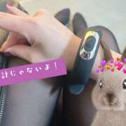 ヒメ日記 2026/03/24 16:03 投稿 いちか 五反田アンジェリーク