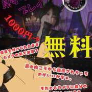 ヒメ日記 2026/06/23 13:47 投稿 いちか 五反田アンジェリーク