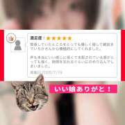 ヒメ日記 2026/07/20 12:36 投稿 いちか 五反田アンジェリーク