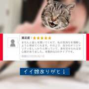 ヒメ日記 2026/08/21 11:40 投稿 いちか 五反田アンジェリーク