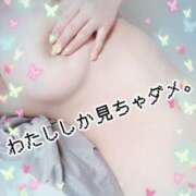 ヒメ日記 2026/02/12 09:22 投稿 こゆき 川越ぽちゃまに