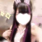 あん 出勤しました🐈 パイの巣