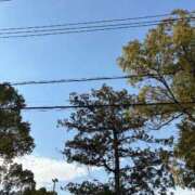 ヒメ日記 2026/02/06 13:59 投稿 るな ZERO