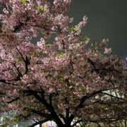 ヒメ日記 2026/02/27 20:54 投稿 るな ZERO