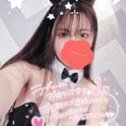 めろん 🔆 男爵