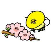 ヒメ日記 2026/03/28 07:04 投稿 千葉 MadameRest(マダムレスト)