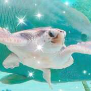 ヒメ日記 2026/03/30 13:40 投稿 千葉 MadameRest(マダムレスト)