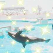 ヒメ日記 2026/03/31 09:14 投稿 千葉 MadameRest(マダムレスト)