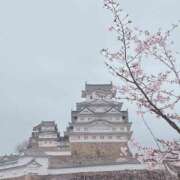 ヒメ日記 2026/03/31 12:28 投稿 千葉 MadameRest(マダムレスト)