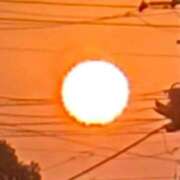 ヒメ日記 2026/04/06 06:00 投稿 千葉 MadameRest(マダムレスト)