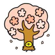 ヒメ日記 2026/04/08 06:05 投稿 千葉 MadameRest(マダムレスト)