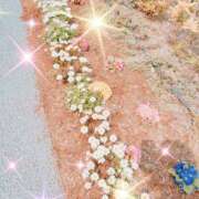 ヒメ日記 2026/04/17 08:14 投稿 千葉 MadameRest(マダムレスト)