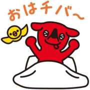 ヒメ日記 2026/07/12 05:52 投稿 千葉 MadameRest(マダムレスト)