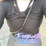 ゆは 〜16:00🈳 One More 奥様　五反田店