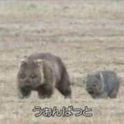 ヒメ日記 2026/02/24 23:18 投稿 るな Sexy Club 月TOKYO