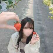 ヒメ日記 2026/04/17 12:22 投稿 るな 男爵