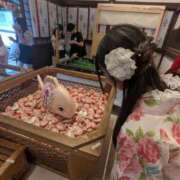 ヒメ日記 2026/09/10 11:45 投稿 るな 男爵