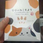ヒメ日記 2026/02/14 15:23 投稿 床田 鶯谷デッドボール