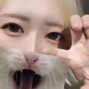 ヒメ日記 2026/01/26 20:02 投稿 杉本れいか 五反田オナクラ ちくキュンっ!学園