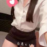 ヒメ日記 2026/01/29 11:05 投稿 白鳥　ももり プルプル京都性感エステ　はんなり