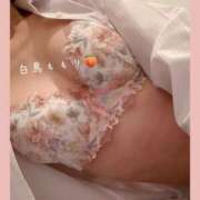 ヒメ日記 2026/02/08 22:15 投稿 白鳥　ももり プルプル京都性感エステ　はんなり