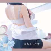 ヒメ日記 2026/03/08 08:30 投稿 白鳥　ももり プルプル京都性感エステ　はんなり