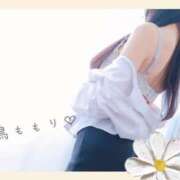 白鳥　ももり ドトールのミルクレープ食べたことある？？ プルプル京都性感エステ　はんなり