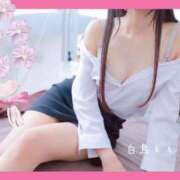 ヒメ日記 2026/03/24 14:58 投稿 白鳥　ももり プルプル京都性感エステ　はんなり