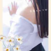 ヒメ日記 2026/04/14 11:16 投稿 白鳥　ももり プルプル京都性感エステ　はんなり