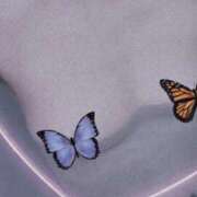 ヒメ日記 2026/01/24 08:30 投稿 さき 渋谷 風俗 奥様発情の会