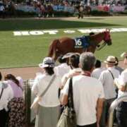 さき [お題]from:二人で競馬場行きたいさん 渋谷 風俗 奥様発情の会