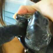 ヒメ日記 2026/02/28 14:32 投稿 みつき 熟女の風俗最終章　越谷店