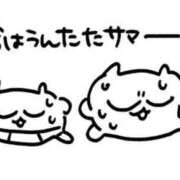 ヒメ日記 2026/08/05 23:46 投稿 らら MINT（ミント）