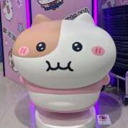 ヒメ日記 2026/10/10 23:31 投稿 らら MINT（ミント）