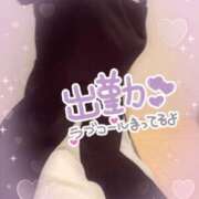 ヒメ日記 2026/09/11 10:58 投稿 みと 佐賀人妻デリヘル 「デリ夫人」