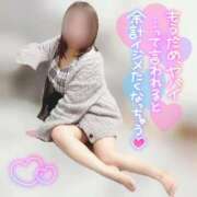 ヒメ日記 2026/03/12 21:01 投稿 しほ 長野飯田ちゃんこ