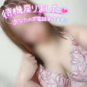 ヒメ日記 2026/03/20 18:01 投稿 しほ 長野飯田ちゃんこ