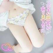 ヒメ日記 2026/03/30 14:41 投稿 しほ 長野飯田ちゃんこ