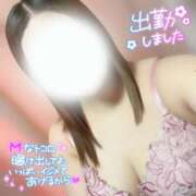 ヒメ日記 2026/08/21 12:21 投稿 しほ 長野飯田ちゃんこ